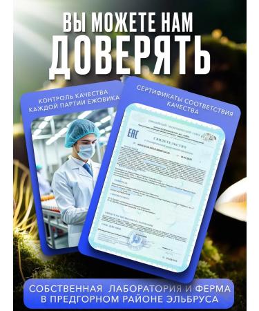 From The Earth Ezhovik Channel Mycelium Capsules 90 pieces Lions Mane - Buy Online on GoSupps.com