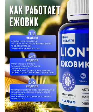From The Earth Ezhovik Channel Mycelium Capsules 90 pieces Lions Mane - Buy Online on GoSupps.com