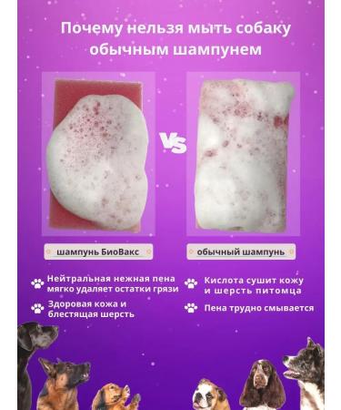 Biovax Shampoo for Spitz Professional - Buy Online on GoSupps.com