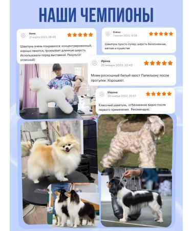 King Cosmetic Shampoo for dogs and cats concentrated whitening - Buy Online on GoSupps.com