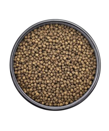 FLORIDA Kittens food turkey 800 g - Buy Online on GoSupps.com