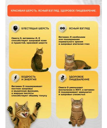 WOOWholistic Wet food for cats canned turf with a veal100GR12pc - Buy Online on GoSupps.com