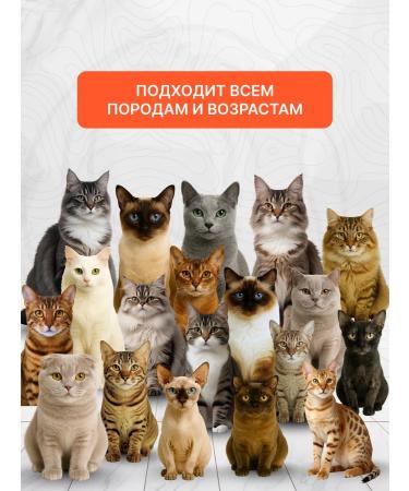WOOWholistic Wet food for cats canned turf with a veal100GR12pc - Buy Online on GoSupps.com