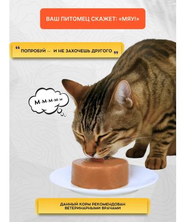 WOOWholistic Wet food for cats canned turf with a veal100GR12pc - Buy Online on GoSupps.com
