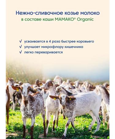 Mamako Organic rice porridge on goat milk - Buy Online on GoSupps.com