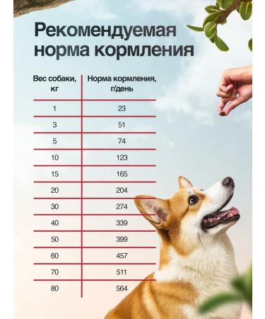 BLITZ Dry food dry 2 kg with chicken and rice - Buy Online on GoSupps.com