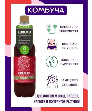 KOMBUCHA Drink with juice of berries and mint 12pcs 0.555l