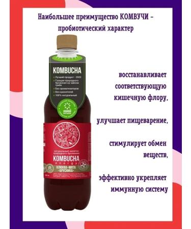 KOMBUCHA Drink with juice of berries and mint 12pcs 0.555l - Buy Online on GoSupps.com