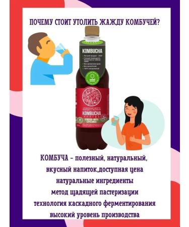 KOMBUCHA Drink with juice of berries and mint 12pcs 0.555l - Buy Online on GoSupps.com