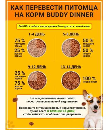 BUDDY DINNER Dry food for dogs with beef 8 kg - Buy Online on GoSupps.com