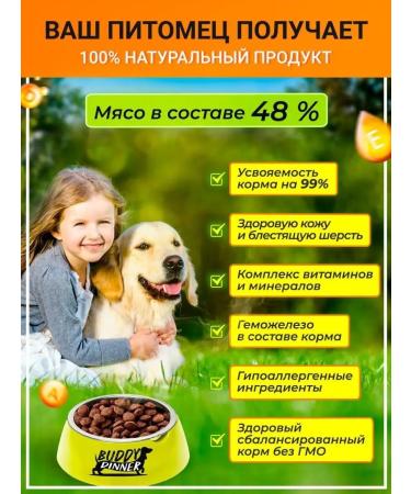 BUDDY DINNER Dry food for dogs with beef 12 kg - Buy Online on GoSupps.com