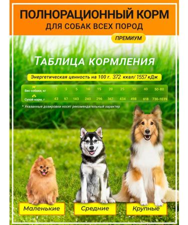 BUDDY DINNER Dry food for dogs with beef 12 kg - Buy Online on GoSupps.com