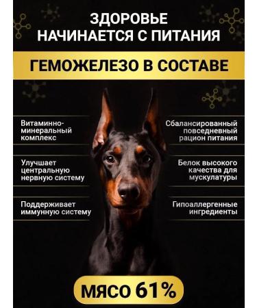 BUDDY DINNER Dry food for dogs Super premium with beef 6 kg - Buy Online on GoSupps.com