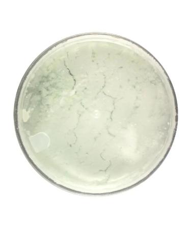 CharmCleoCosmetics Alginate face mask from wrinkles - Buy Online on GoSupps.com