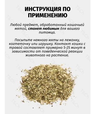 Koshara The treat of cat mint 15 gr. Dried - Buy Online on GoSupps.com