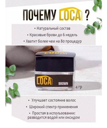 LOCA professional Professional paint for eyebrows and eyelashes persistent - Buy Online on GoSupps.com