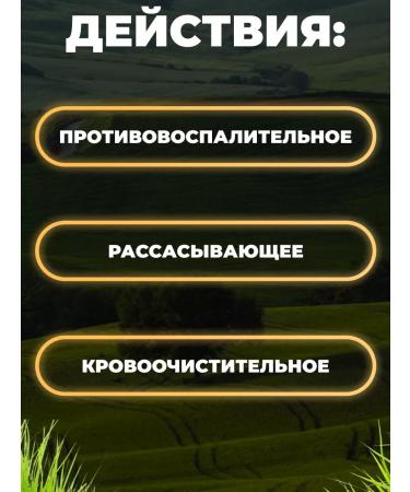 Honey and Jam Chicoria natural 50 g - Buy Online on GoSupps.com