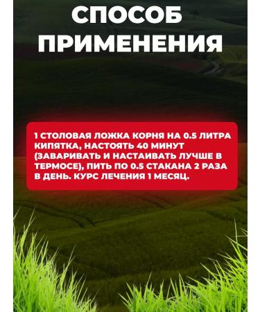 Honey and Jam Chicoria natural 50 g - Buy Online on GoSupps.com