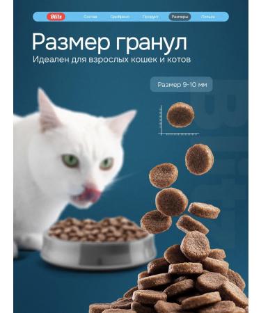 BLITZ Dry food for sterilized cats 2 kg with chicken - Buy Online on GoSupps.com