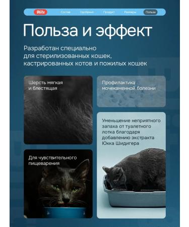 BLITZ Dry food for sterilized cats 2 kg with chicken - Buy Online on GoSupps.com