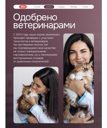 BLITZ Dry food for cats with lamb 2kg - Buy Online on GoSupps.com