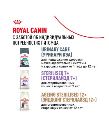 ROYAL CANIN Dry food for sterilized cats Sterilized 37 1.2 kg - Buy Online on GoSupps.com