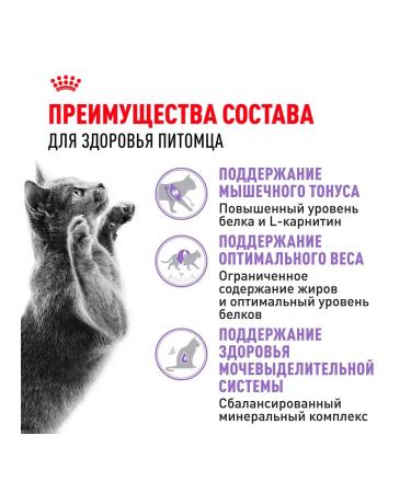 ROYAL CANIN Dry food for sterilized cats Sterilized 37 1.2 kg - Buy Online on GoSupps.com