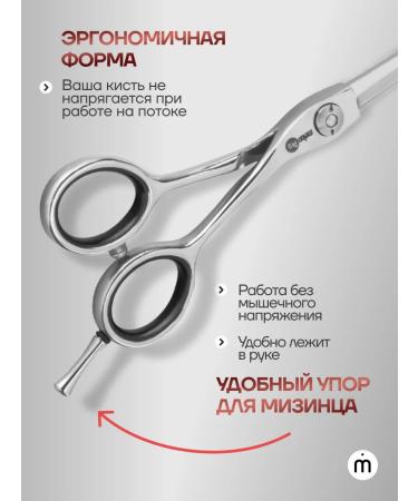 Melon Pro Professional hairdressers 5.5 - Buy Online on GoSupps.com