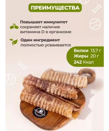 vkusnopet T -shirt trachea for dog dogs for dogs - Buy Online on GoSupps.com