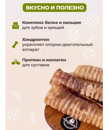 vkusnopet T -shirt trachea for dog dogs for dogs - Buy Online on GoSupps.com