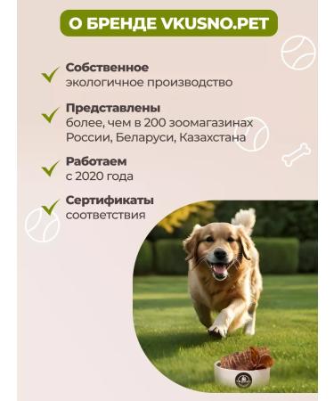 vkusnopet T -shirt trachea for dog dogs for dogs - Buy Online on GoSupps.com