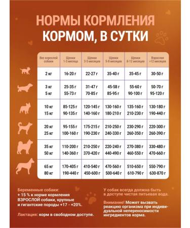 Be Healthy dry food Dry food for dogs with beef shallow granules - Buy Online on GoSupps.com