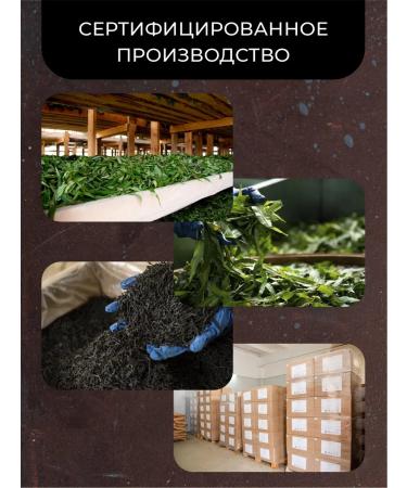 Russian Ivantea Small -leafy Ivan tea 1 kg - Buy Online on GoSupps.com