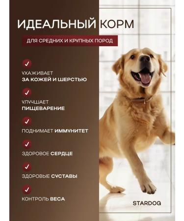 STARDOGS Dry food for dogs of large beef breeds 13 kg - Buy Online on GoSupps.com