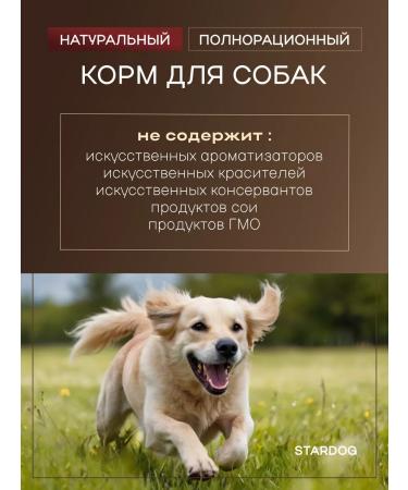 STARDOGS Dry food for dogs of large beef breeds 13 kg - Buy Online on GoSupps.com