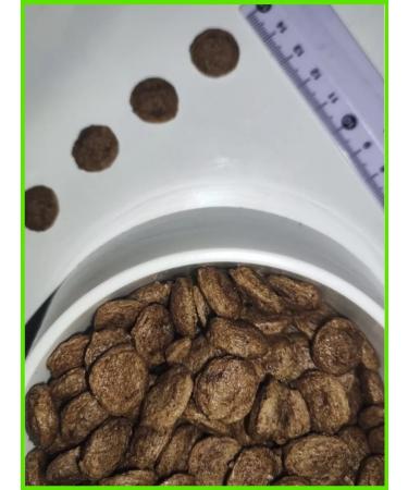 STARDOGS Dry food for dogs of large beef breeds 13 kg - Buy Online on GoSupps.com