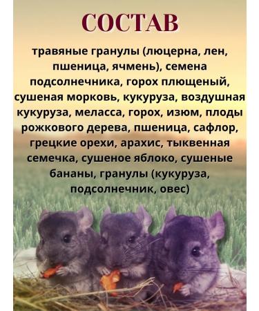 True friends Chinchilla feed 300 g 3 pcs - Buy Online on GoSupps.com