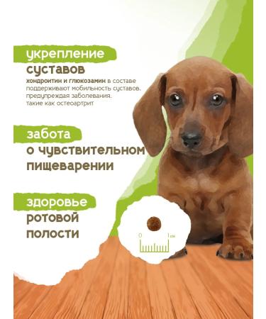 Formula Natural Dry food for small breed puppies 1 kg - Buy Online on GoSupps.com