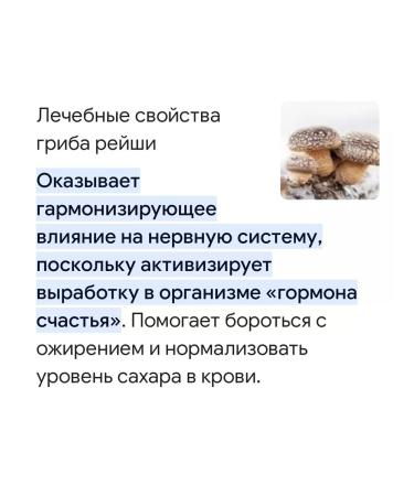 Natural Factors Garlic oil in capsules for cholesterol dietary supplement - Buy Online on GoSupps.com