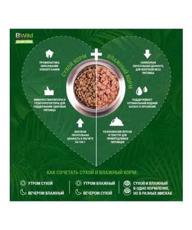 MONGE Bwild Low Grain Adult dry dog food 2.5 kg - Buy Online on GoSupps.com