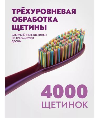 PRESIDENT Medium stiffer tooth violet purple EXCLUSIVE - Buy Online on GoSupps.com