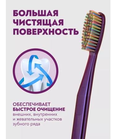 PRESIDENT Medium stiffer tooth violet purple EXCLUSIVE - Buy Online on GoSupps.com