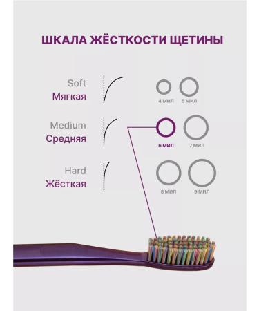 PRESIDENT Medium stiffer tooth violet purple EXCLUSIVE - Buy Online on GoSupps.com