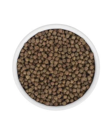 SAVITA Bezernovaya food for kittens with salmon and white fish 5kg - Buy Online on GoSupps.com