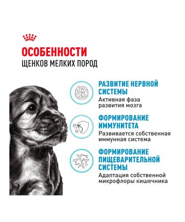 ROYAL CANIN Dry food for dogs of small breeds Mini Puppy 4 kg - Buy Online on GoSupps.com