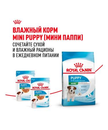 ROYAL CANIN Dry food for dogs of small breeds Mini Puppy 4 kg - Buy Online on GoSupps.com