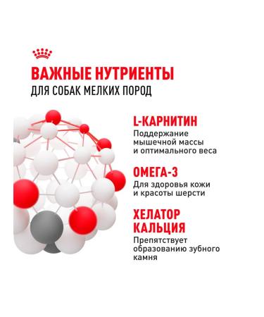 ROYAL CANIN Dry food for dogs of small breeds mini adult 4 kg - Buy Online on GoSupps.com