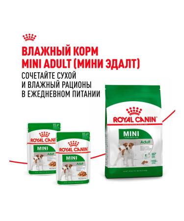 ROYAL CANIN Dry food for dogs of small breeds mini adult 4 kg - Buy Online on GoSupps.com
