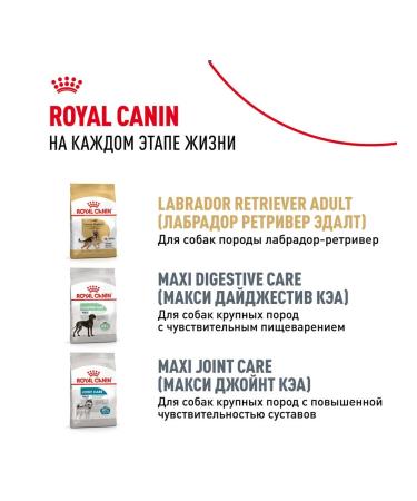 ROYAL CANIN Dog food dry Labrador Retriever for puppies 3 kg - Buy Online on GoSupps.com