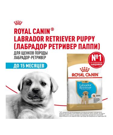 ROYAL CANIN Dog food dry Labrador Retriever for puppies 3 kg - Buy Online on GoSupps.com